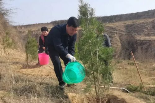 近日，慶城縣人大常委會(huì)機(jī)關(guān)組織干部職工赴慶城鎮(zhèn)西塬村開(kāi)展義務(wù)植樹(shù)活動(dòng)，以實(shí)際行動(dòng)踐行綠水青山就是金山銀山的理念。植樹(shù)現(xiàn)場(chǎng)，大家熱情高漲，干勁十足，揮鍬鏟土、修整樹(shù)畦、扶苗澆水，很快150株白皮松，被逐一“安家落戶(hù)”，整齊有序地挺立在了山頭。望著眼前一棵棵隨風(fēng)搖曳的小樹(shù)苗，大家表示，將以這次義務(wù)植樹(shù)活動(dòng)為契機(jī)，主動(dòng)參與“愛(ài)綠、植綠、護(hù)綠”行動(dòng)，助力生態(tài)文明建設(shè)。