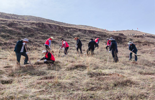 6c866b07ae2347c0a8ae4bdc785f7969