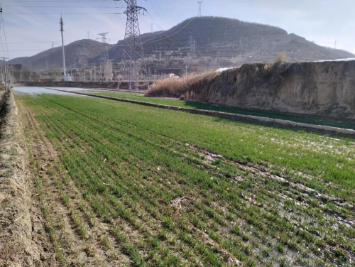 18d289d48fff489db527ed81aa7d6aca