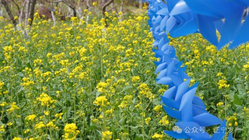 圖源：正寧發(fā)布 尤小龍 楊保衛(wèi) 唐小娟