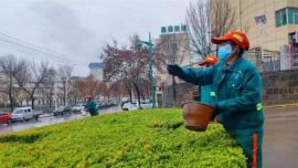 寧州春雨眾卉新 園林養(yǎng)護(hù)正當(dāng)時(shí)