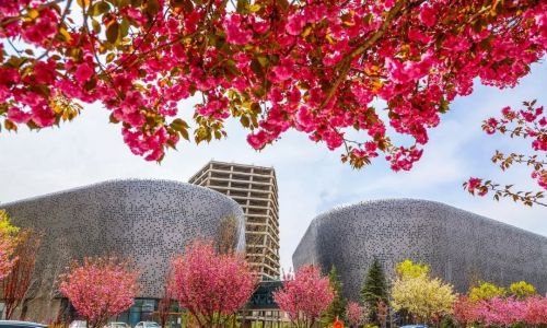 陈 飞 庆阳市文体广电和旅游局