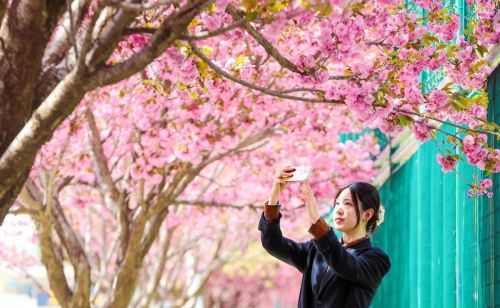 陈 飞 庆阳市文体广电和旅游局
