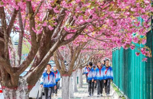 陈 飞 庆阳市文体广电和旅游局