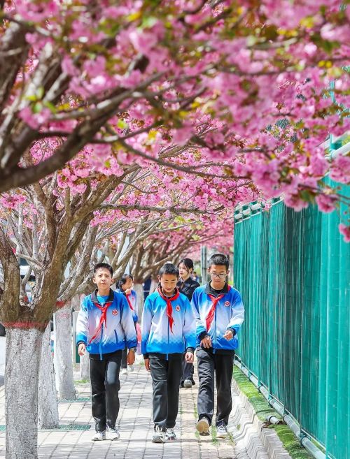 陈 飞 庆阳市文体广电和旅游局