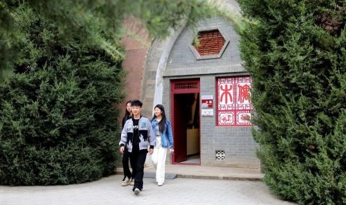 盘小美 庆阳市文体广电和旅游局