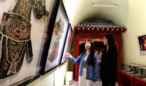 盘小美 庆阳市文体广电和旅游局