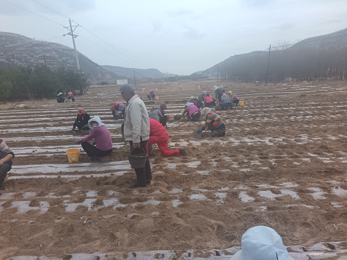 af14d7872d6949ee93bb165065a42777