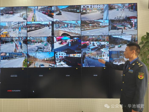 65c35ddcfd6241008283e166f195c725