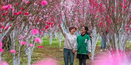 《踏春赏花》   庆阳融媒记者 陈飞 摄