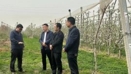 寧縣：姚德學(xué)調(diào)研政協(xié)委員工作室建設(shè)及蘋果產(chǎn)業(yè)防災(zāi)減災(zāi)工作