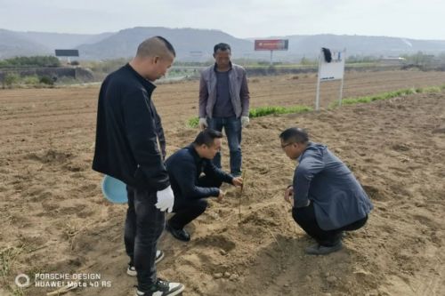 810cd620343442c4abae7a95a4cea9e6