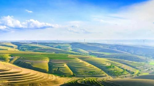 图 / 庆阳市文体广电和旅游局