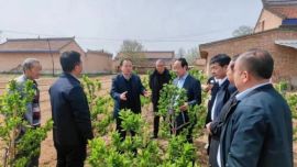 寧縣：縣人大常委會(huì)對(duì)縣農(nóng)業(yè)農(nóng)村局工作開(kāi)展評(píng)議調(diào)查