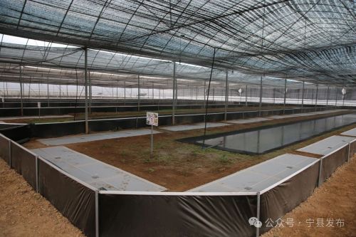 微信圖片_20240424094454