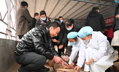 微信图片_20240425182253