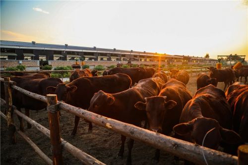 微信圖片_20240426181903