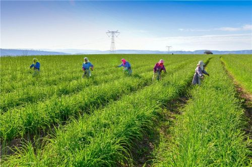 微信圖片_20240426181900