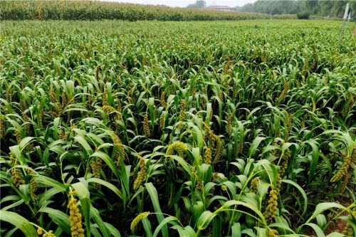 微信圖片_20240426181852