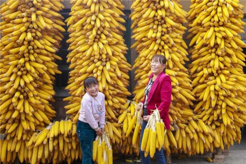 微信圖片_20240426181855