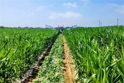 微信圖片_20240426181846