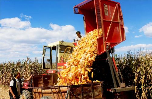 微信圖片_20240426181934