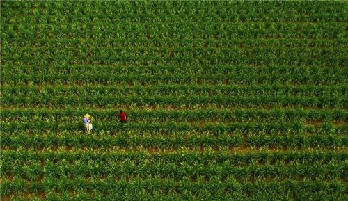 微信圖片_20240426181937