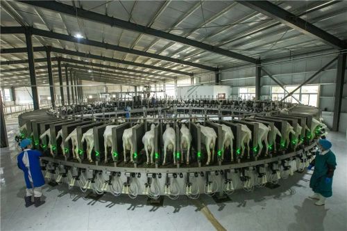 微信圖片_20240426181927