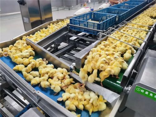 微信圖片_20240426181915