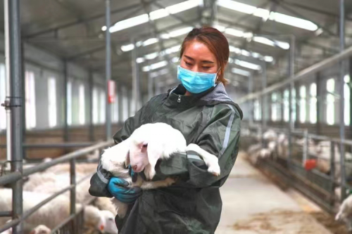 微信圖片_20240426185837