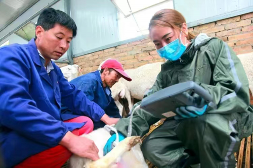 微信圖片_20240426185843