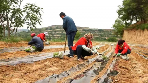 微信圖片_20240426185846