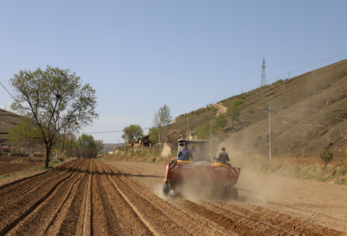 環(huán)縣毛井鎮(zhèn)舉辦&ldquo;羊+薯&rdquo;產(chǎn)業(yè)技能現(xiàn)場培訓(xùn)會