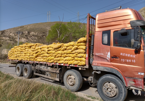 環(huán)縣毛井鎮(zhèn)舉辦&ldquo;羊+薯&rdquo;產(chǎn)業(yè)技能現(xiàn)場培訓(xùn)會