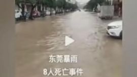 暴雨致8人死亡？東莞警方辟謠：網(wǎng)民用數(shù)年前視頻編輯文字制成