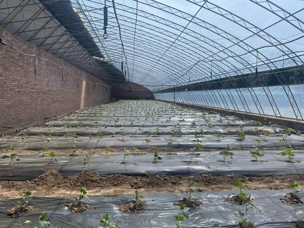 b51a737defad4c1688ce8d52dd93a98d