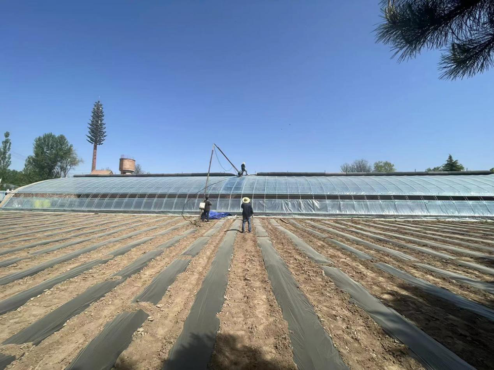 c03454de319e4b09a6f24a2728dbea66