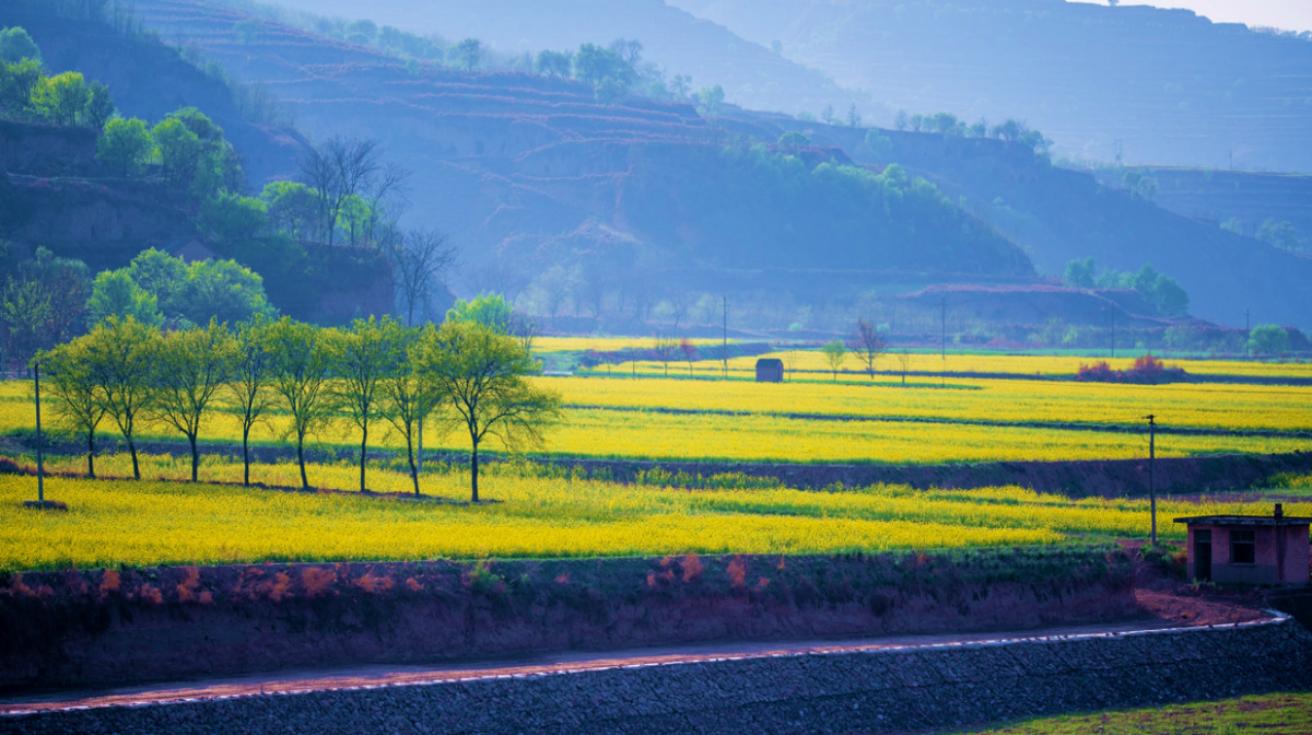 “五一”去哪玩？當(dāng)然是慶陽！慶陽市文體廣電和旅游局 圖