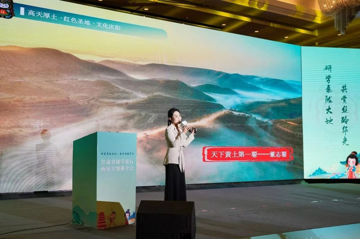 庆阳市文体广电和旅游局 图