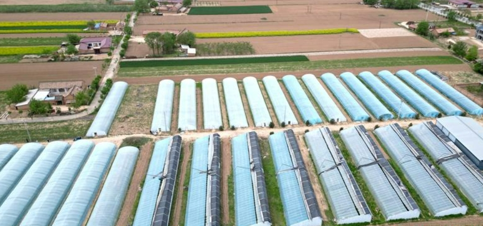 微信圖片_20240502214211