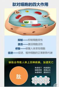 海参复合肽效果好不好，网上卖的贵吗