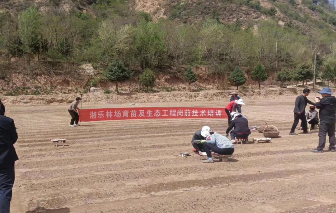 庆阳市林业和草原局团委
