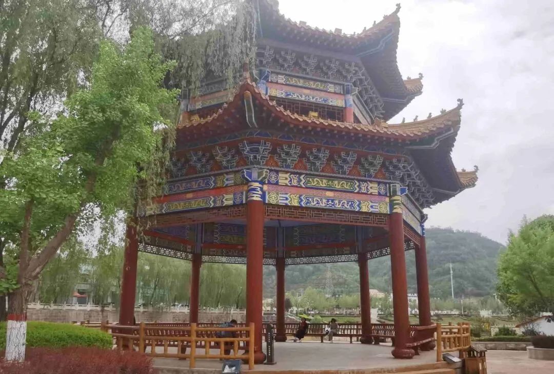 五一假期，宁县无处不飞花，踏青赏花感受春日之美
