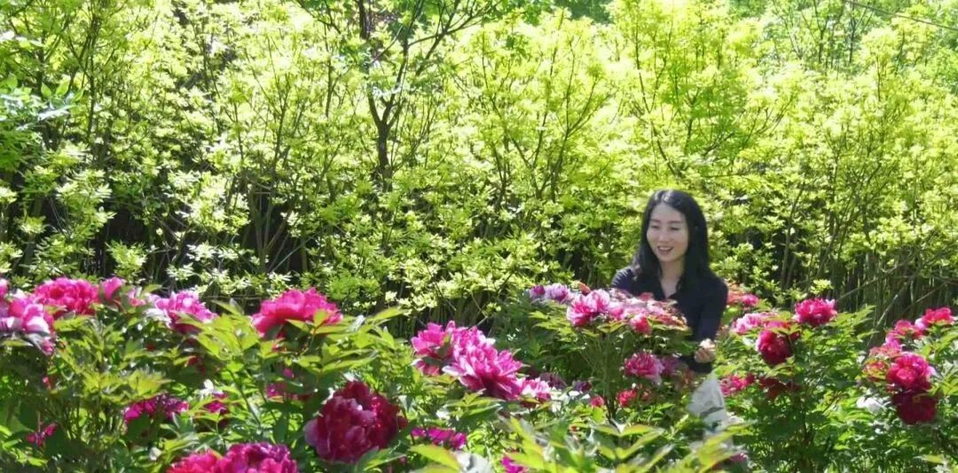 五一假期，宁县无处不飞花，踏青赏花感受春日之美