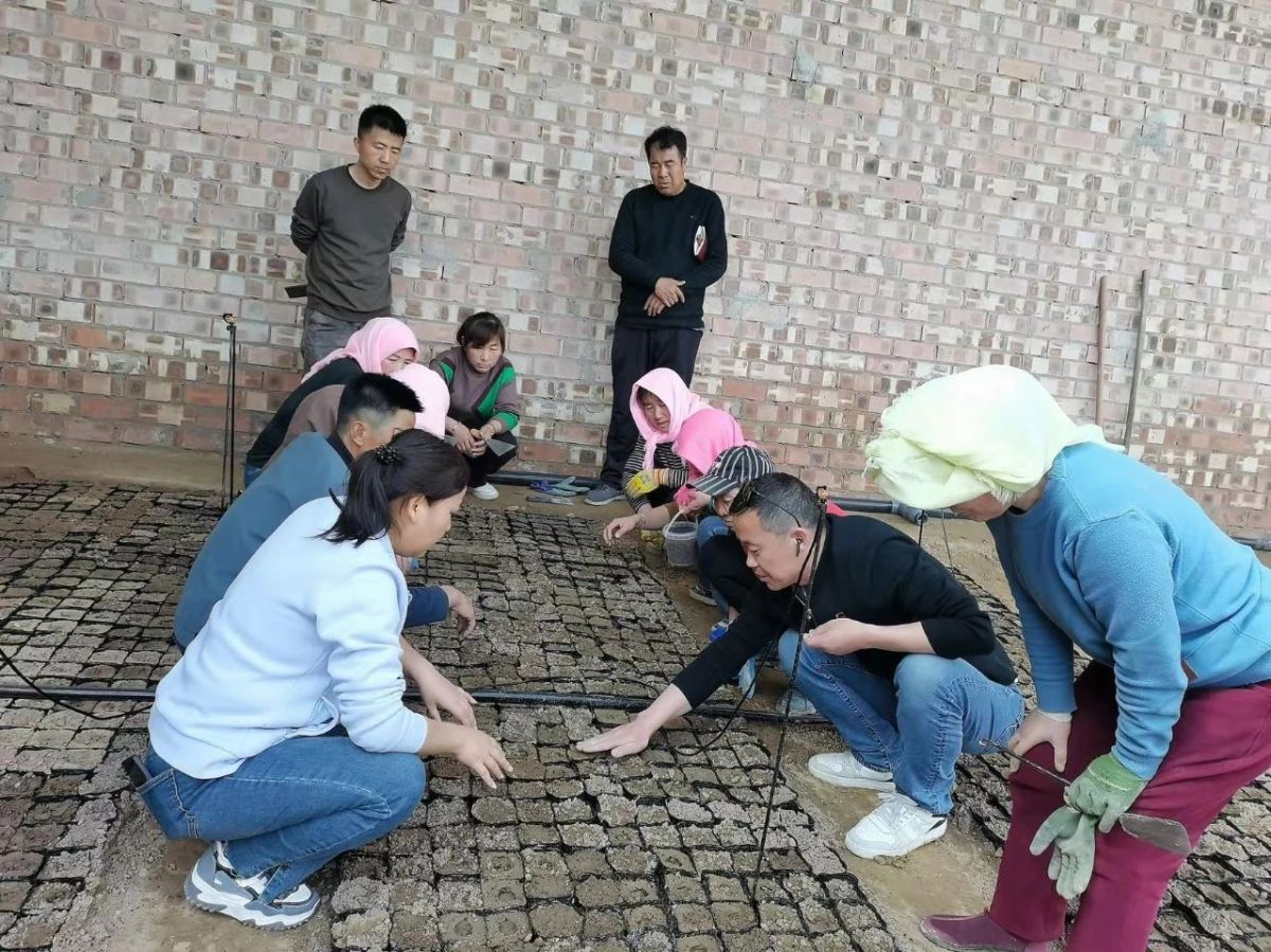 科技创新巾帼行动｜田间地头来了科技服务小分队