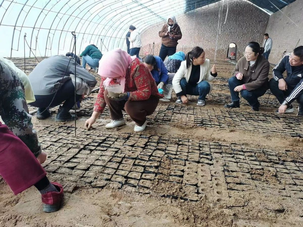 科技创新巾帼行动｜田间地头来了科技服务小分队