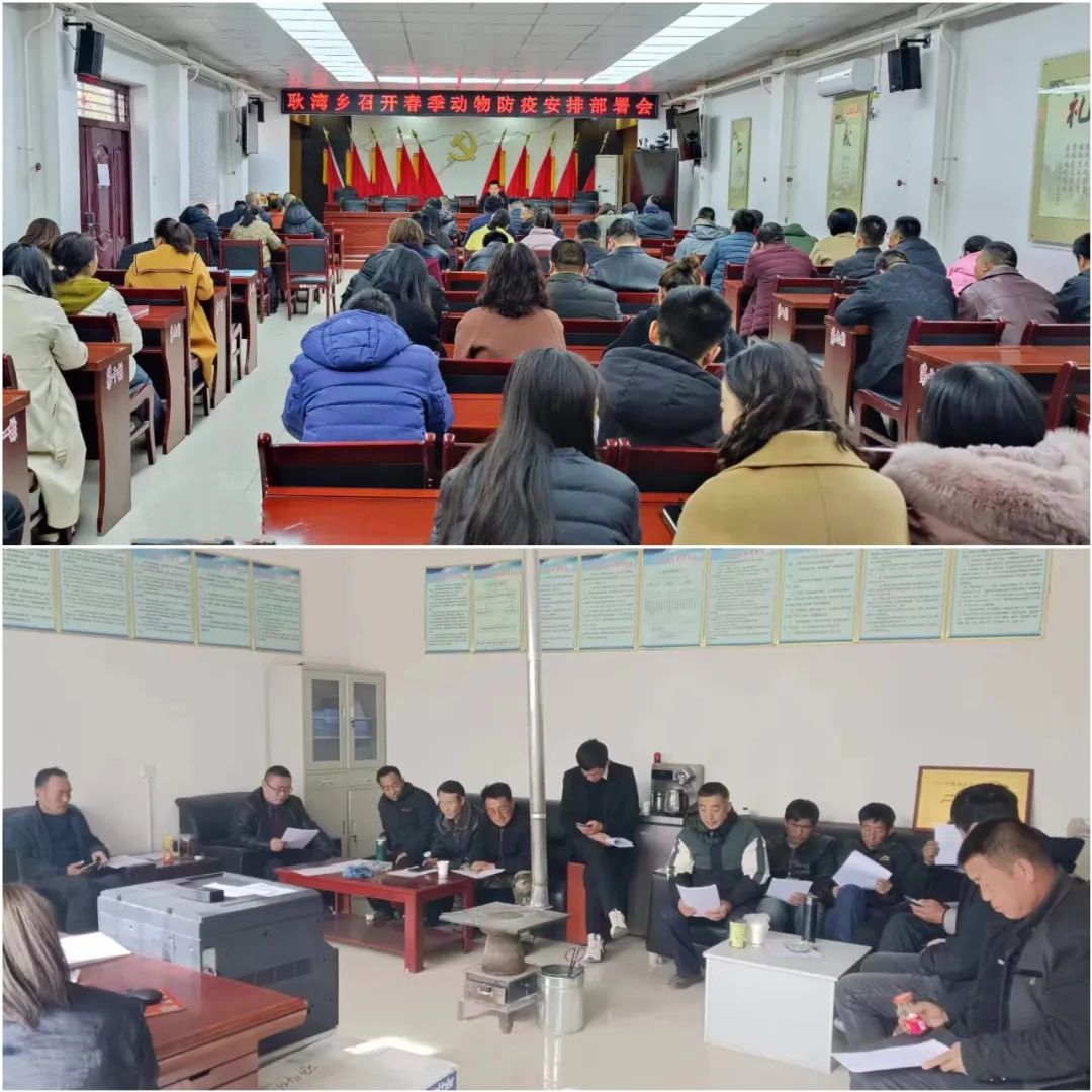 環(huán)縣耿灣鄉(xiāng)全面開展春季動物防疫集中免疫工作