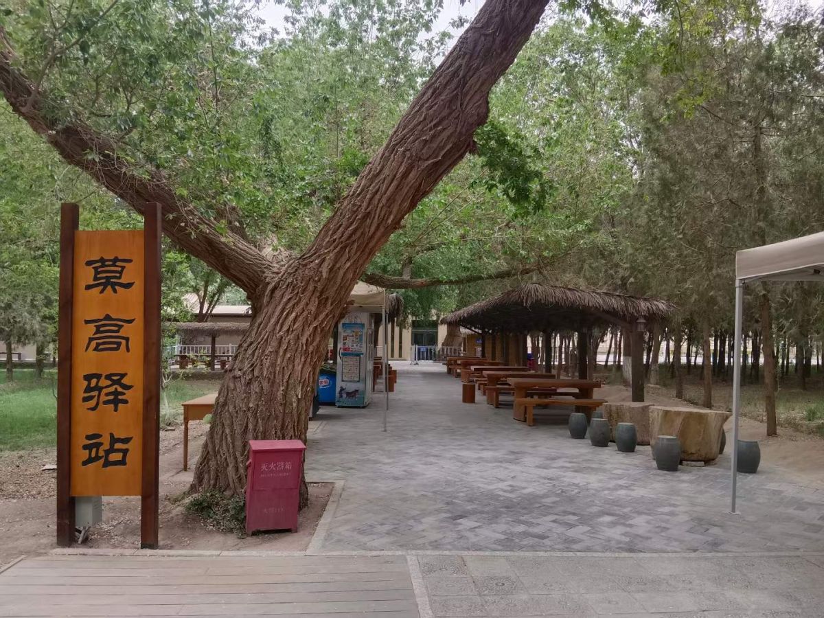  枫灵~小喵 图