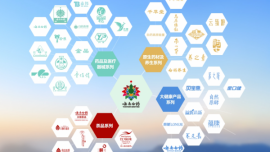 云南白藥爆發(fā)窩案 原董事長王明輝等5位前高管被調查