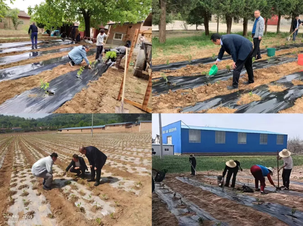 【結(jié)對(duì)關(guān)愛(ài)】寧縣集中開(kāi)展結(jié)對(duì)關(guān)愛(ài)活動(dòng)